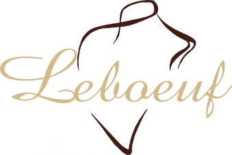 logo-buste-societe logo leboeuf